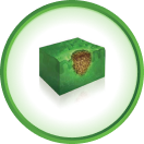 Melanom icon