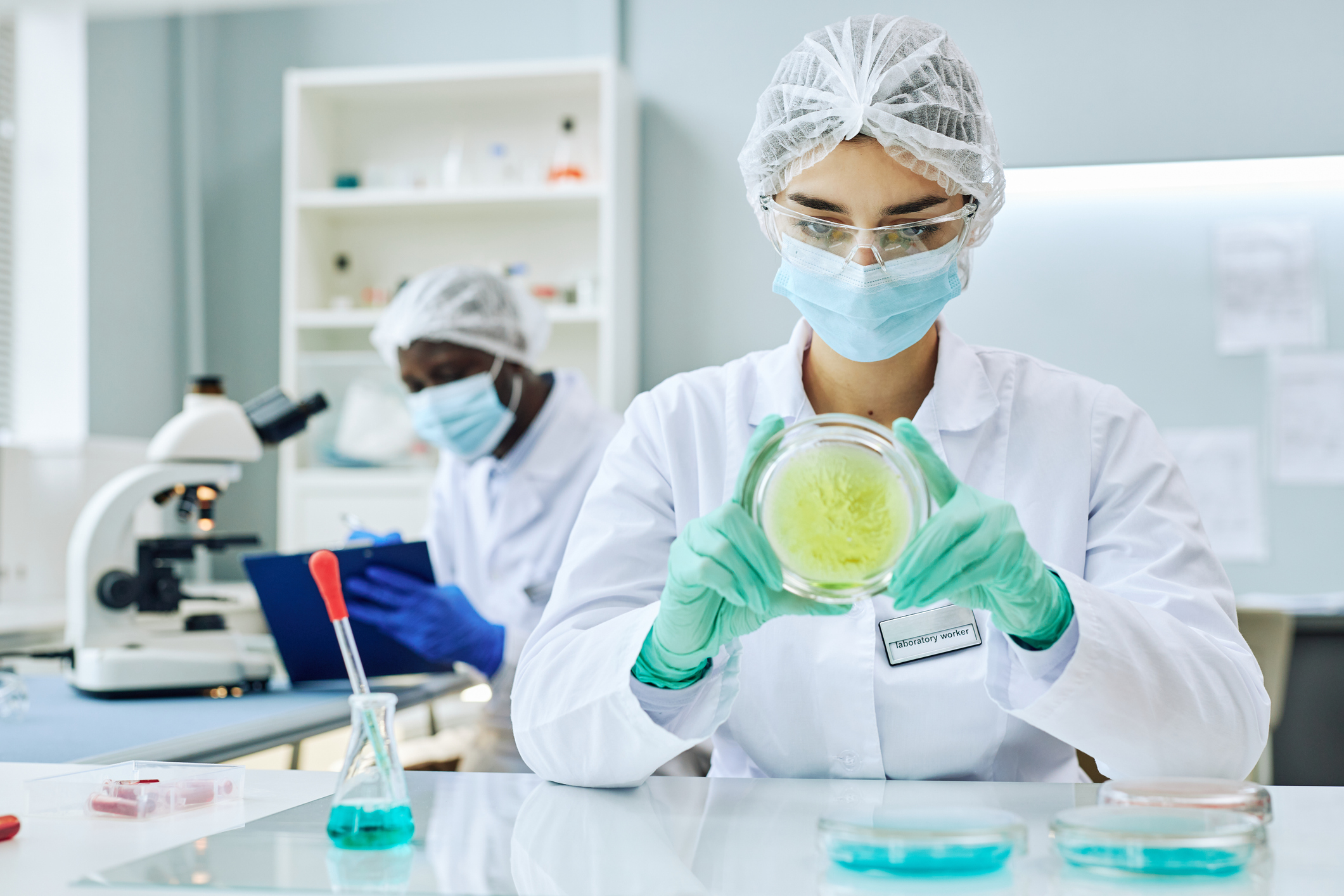 Front view portrait of young female scientist holding petri dish doing experiments with colored liquid