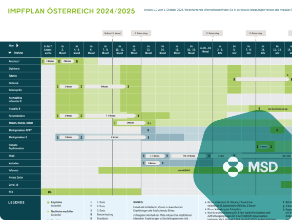 Impfplan Poster 2025 preview image