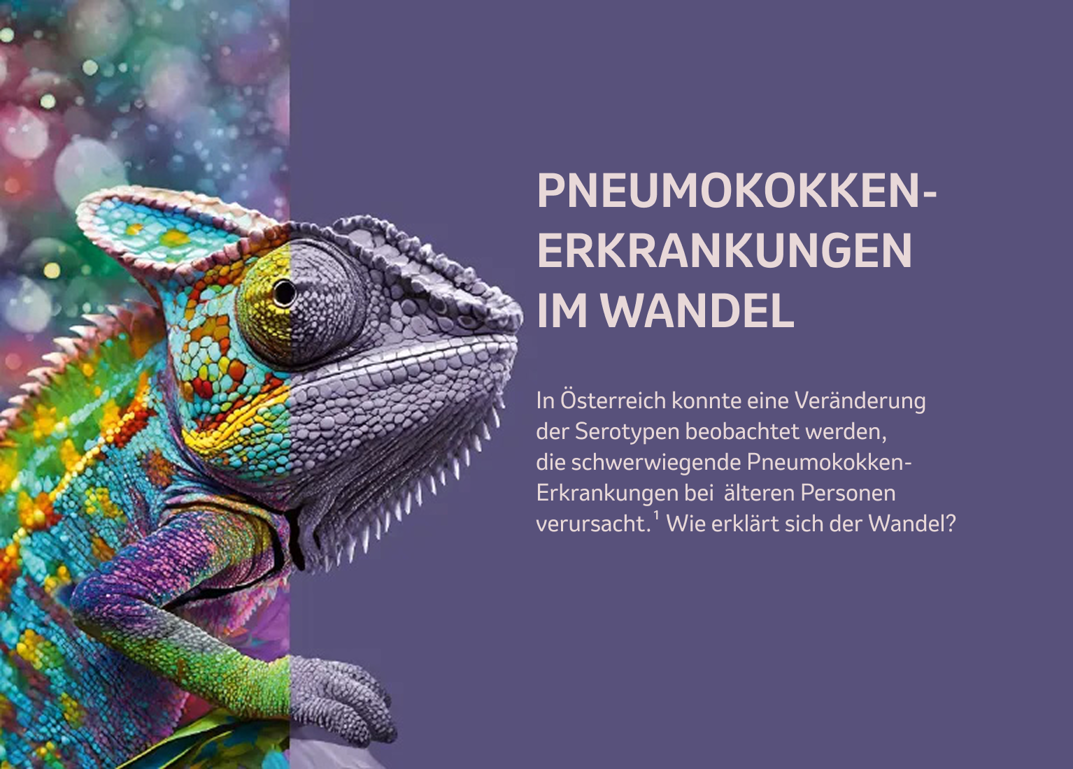 PNEUMOKOKKEN-
ERKRANKUNGEN IM WANDEL