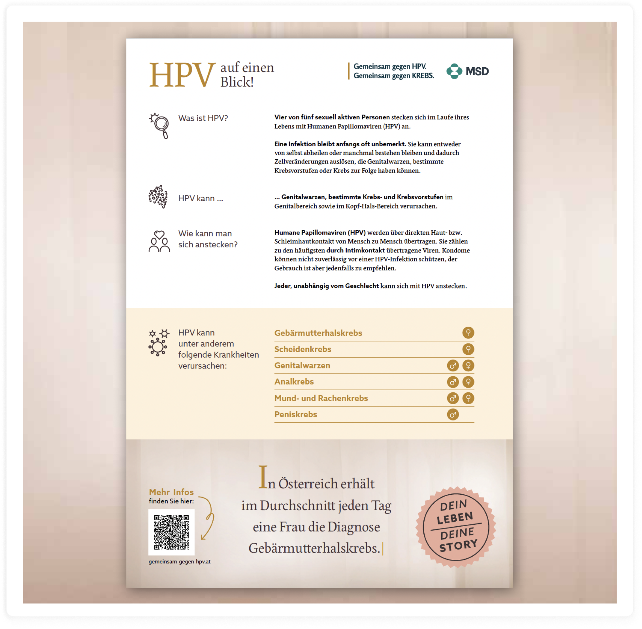 HPV auf einem blick brochure